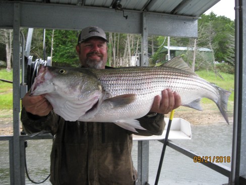 Nice Striped Bass